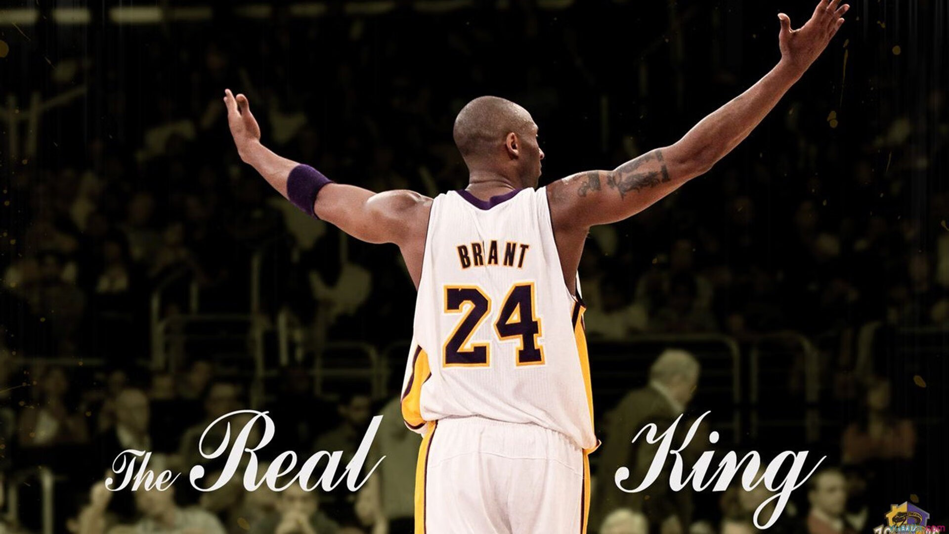 智利选手以毅力战胜困境，智利的比赛